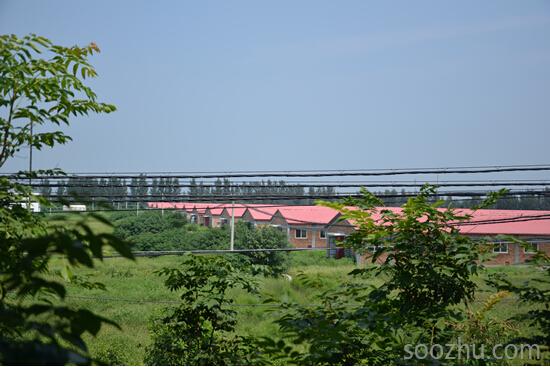 三桥镇马庄村人口_长葛市古桥镇曹庄村